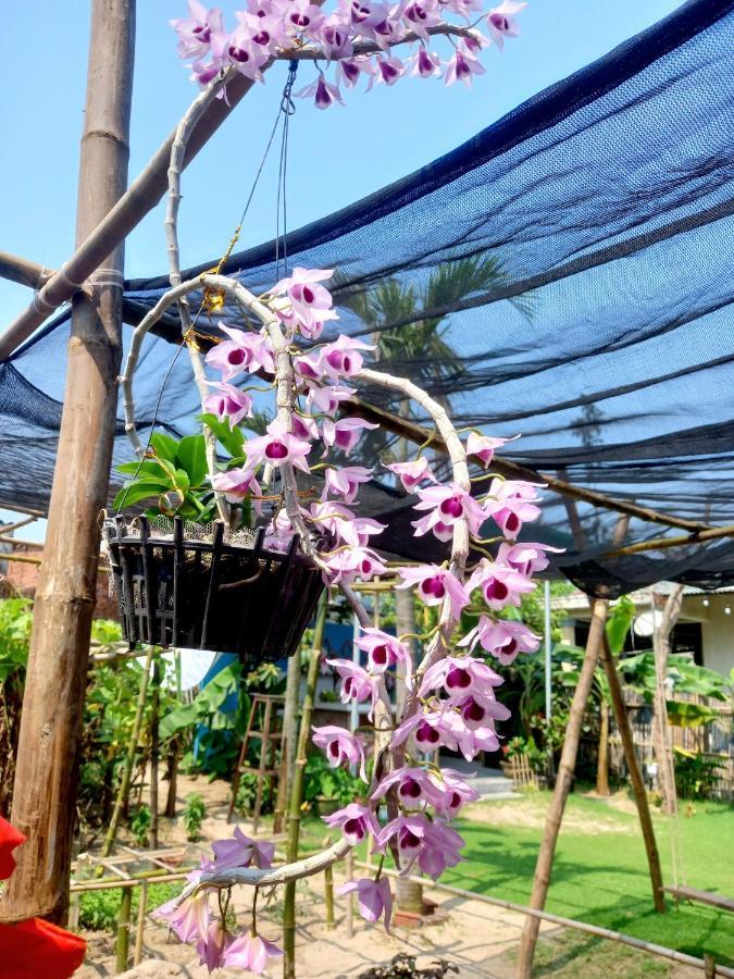 Ngoc An Bang Villa Kültér fotó
